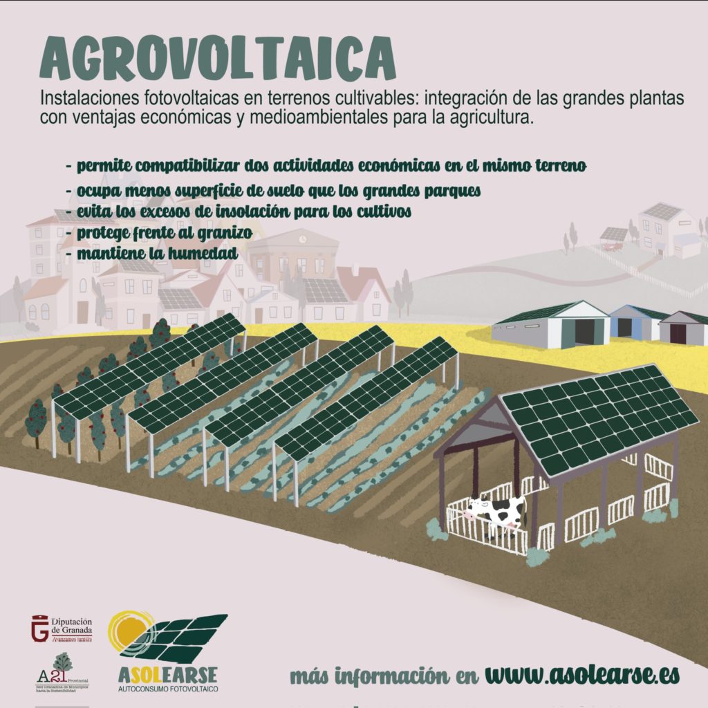 Agrovoltaica Asolearse